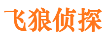 兴业市侦探公司